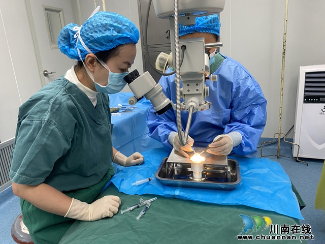 王芳（左）用猪眼教授做眼科手术.jpg