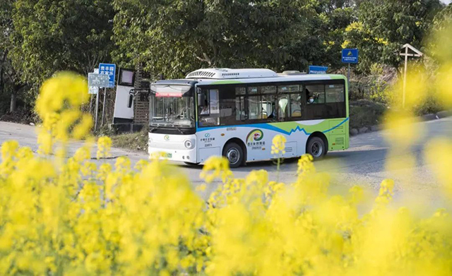 寻春意 踏春趣丨泸州这些地方花已开，坐公交打卡正当时~