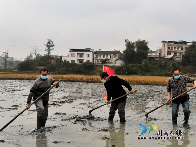 泸县战疫情战春耕两不误(图1)