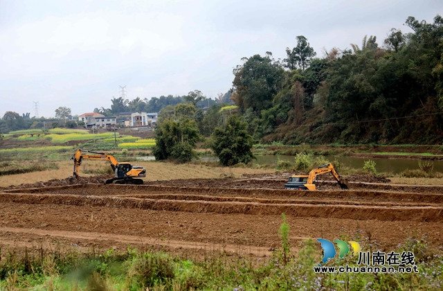 龙马潭区:忙施工 抢农时 强力推进高标准农田建设项目