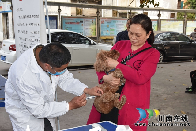泸县玉蟾街道开展狂犬疫苗免费注射活动 (图3)