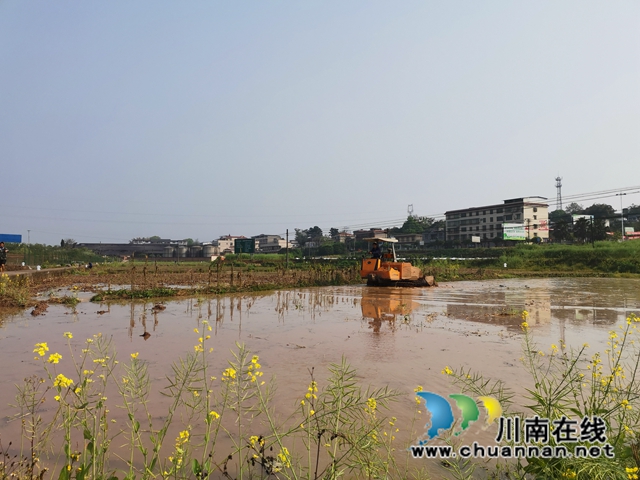 泸县水库开闸放水，自流灌溉8万亩稻田(图2)