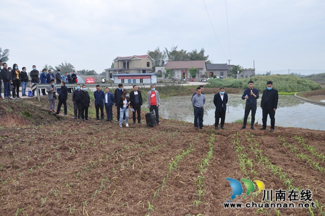 泸县召开2020年酿酒专用高粱生产基地与农业园区建设工作会(图3)