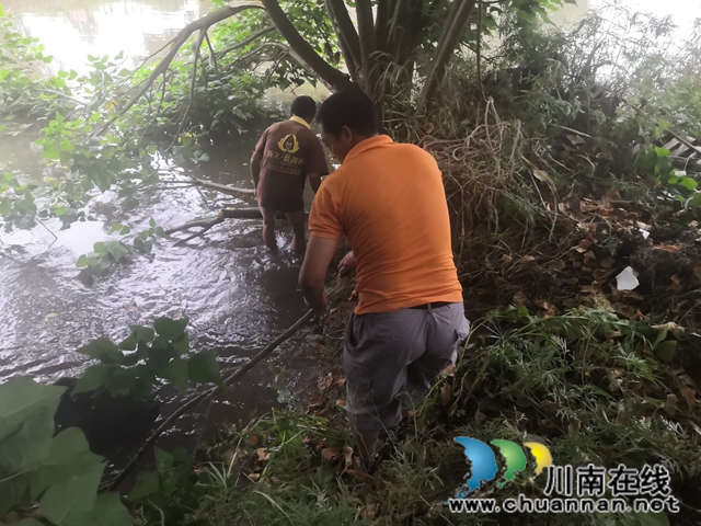 瀘縣玉蟾街道：狠抓河道整治 守護綠水青山(圖9)