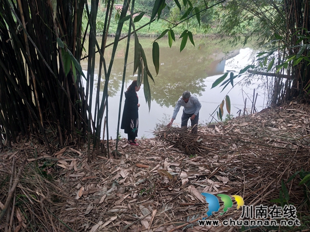 瀘縣玉蟾街道：狠抓河道整治 守護綠水青山(圖7)