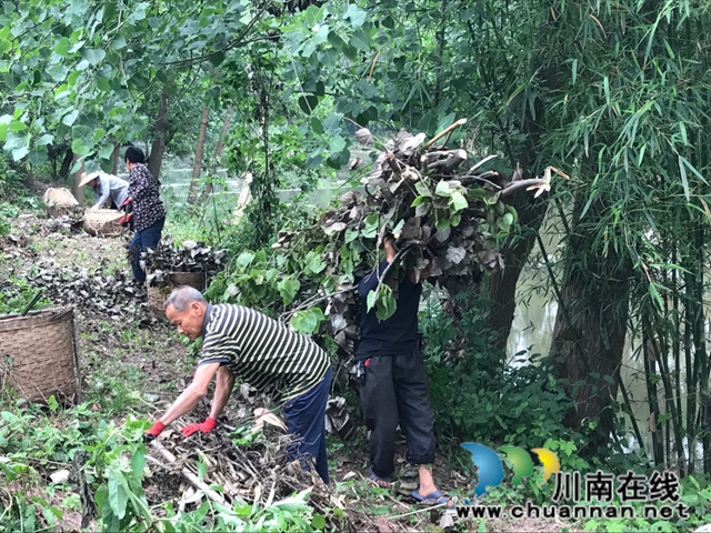 瀘縣玉蟾街道：狠抓河道整治 守護綠水青山(圖5)