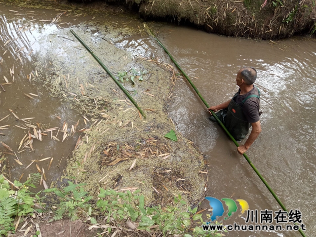 瀘縣玉蟾街道：狠抓河道整治 守護綠水青山(圖10)