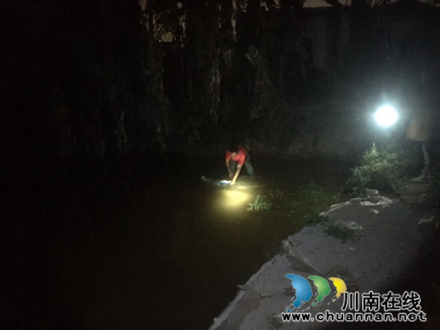 瀘縣玉蟾街道：狠抓河道整治 守護綠水青山(圖12)