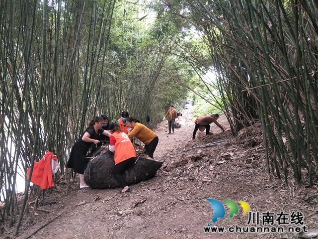 瀘縣玉蟾街道：狠抓河道整治 守護綠水青山(圖16)