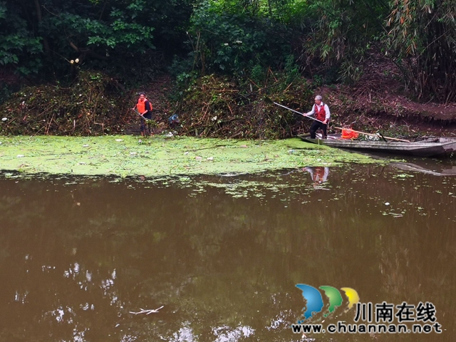 瀘縣玉蟾街道：狠抓河道整治 守護綠水青山(圖15)