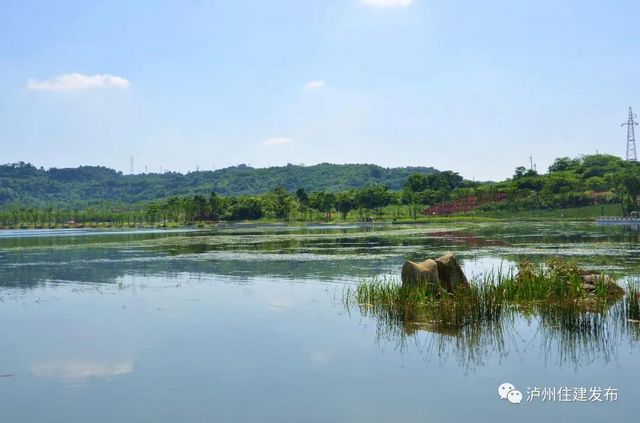 山水如画！泸州渔子溪生态公园下月验收！(图1)