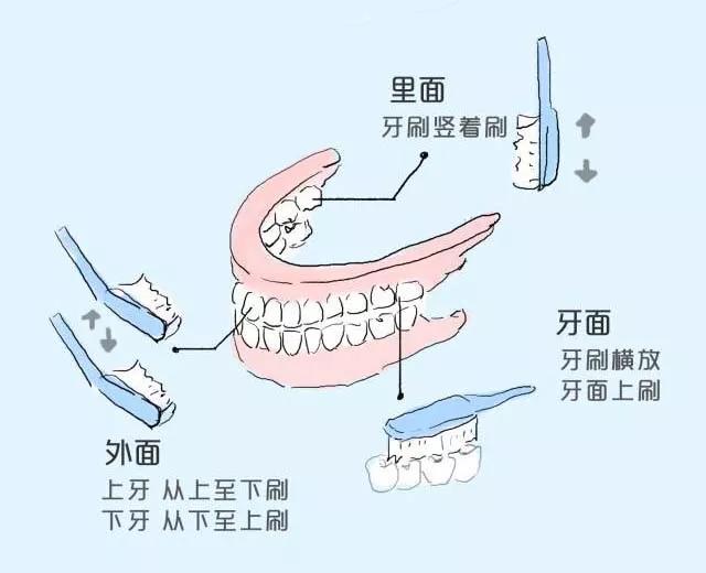 【注意】每天这样刷牙，竟是在毁掉我们的牙齿？(图4)