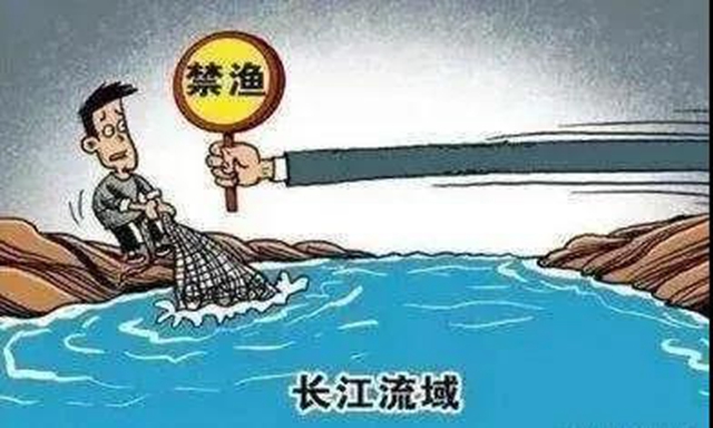 泸县一胆大个体户网上销售长江鱼，严打没商量！(图1)