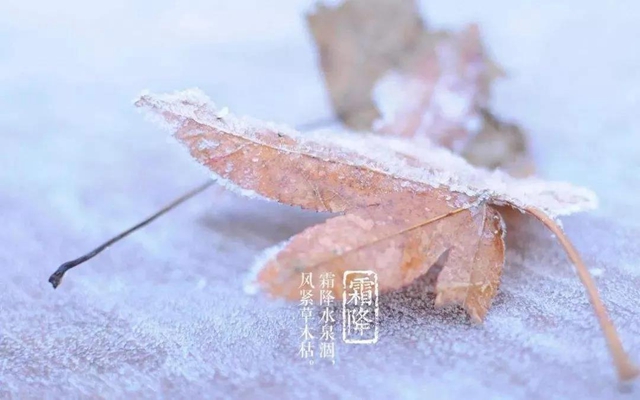 【霜降】明天起，火锅、烧烤、串串不要吃了！(图4)