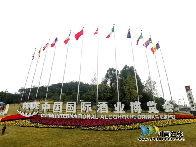第十五届中国国际酒业博览会今日在泸州盛大开幕(图5)