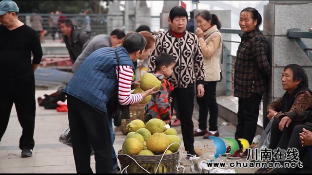 合江：肩条丰挑，长江北岸耕作人将迎出行之变！(图4)