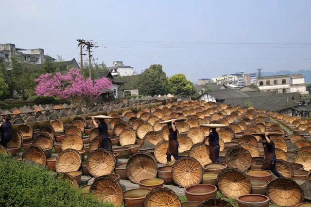 爱上合江先市的理由,都在这份地方特产名单里!