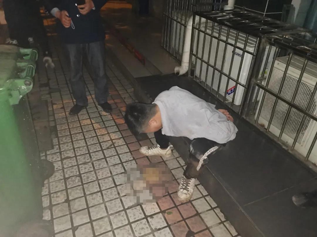 太牛了！宜宾民警一路狂追盗贼！小偷都跑吐了