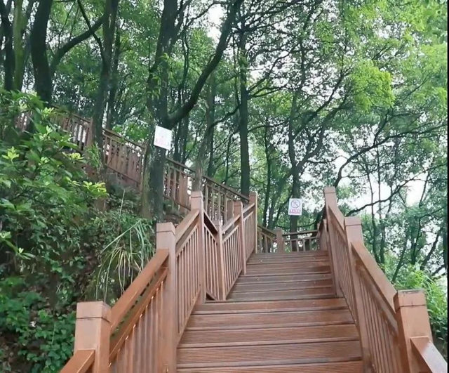 泸州唯一！合江获得省级生态环境建设试点补助资金896万元