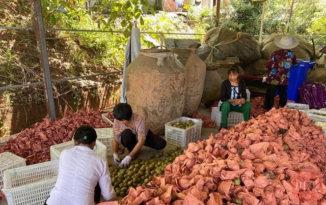明确了！今后，四川将按此标准设立镇和街道