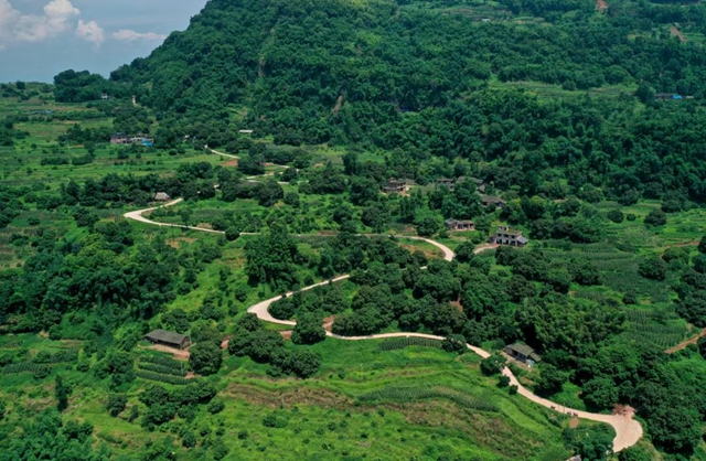 合江荔枝国家地理标志保护示范区获批筹建