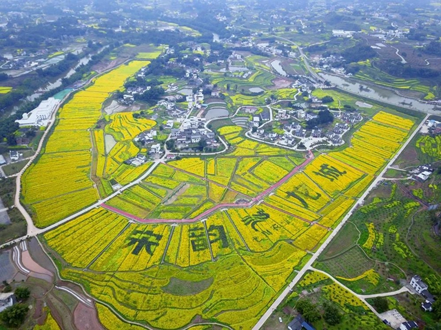 四川高标准农田整区域推进示范单位出炉！泸州这些区县上榜