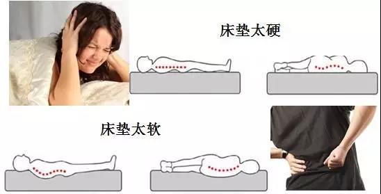 【扩散】床不是越硬越好，看看您适合睡哪种床？(图4)