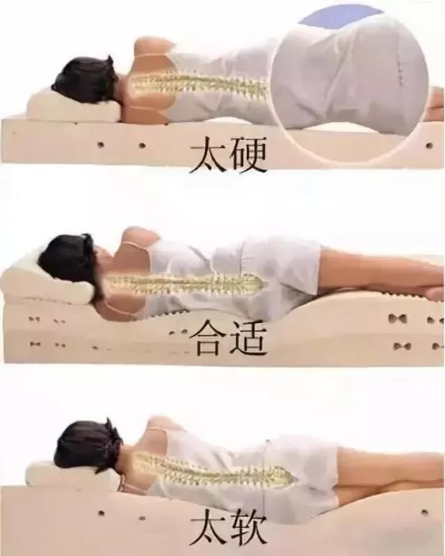 【扩散】床不是越硬越好，看看您适合睡哪种床？(图6)