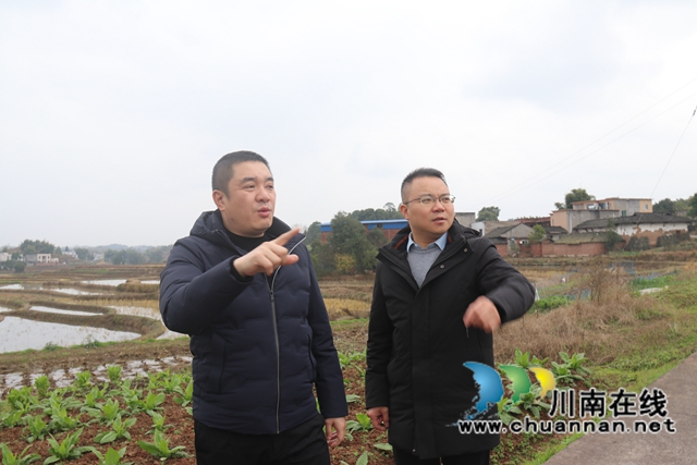 王先奎率队到泸县百和镇调研“东翼”建设工作
