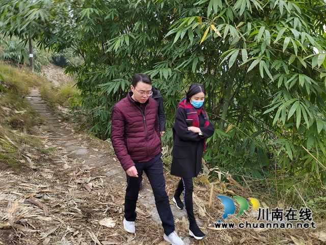甘露到泸县云龙镇督导元旦节前森林防灭火工作