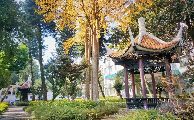 按二级医院收费 享三甲医院服务——专访西南医科大学附属第四医院副院长卓乃强(图5)