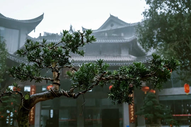 中国酒“大美酒厂”评选结果揭晓，中国沈酒庄、沈子国酒庄双双上榜！(图6)