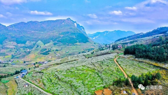 古蔺一年四季都有美景，不信你看！(图7)