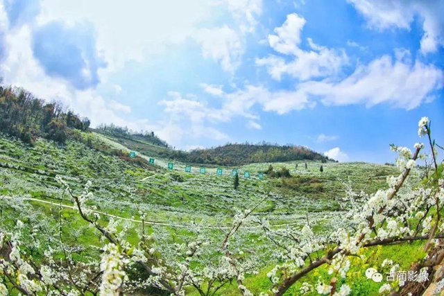 古蔺一年四季都有美景，不信你看！(图8)