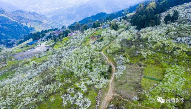 古蔺一年四季都有美景，不信你看！(图9)