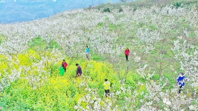 古蔺一年四季都有美景，不信你看！(图10)