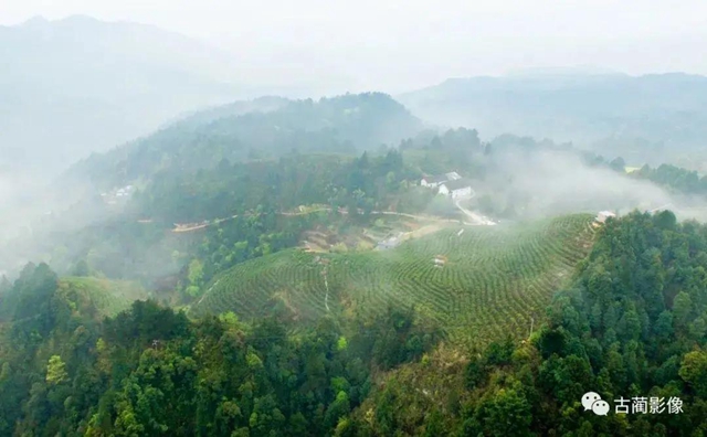 古蔺一年四季都有美景，不信你看！(图12)