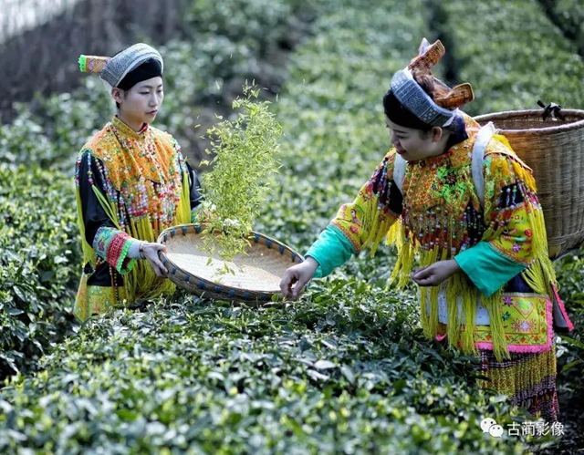 古蔺一年四季都有美景，不信你看！(图13)