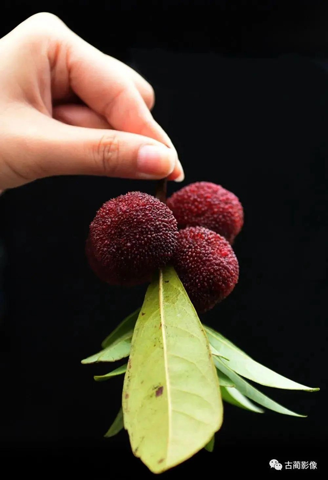 古蔺一年四季都有美景，不信你看！(图25)