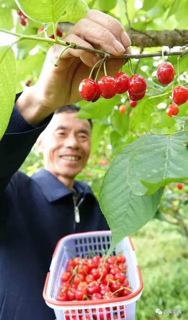 古蔺一年四季都有美景，不信你看！(图27)