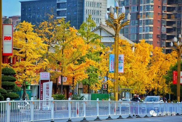 古蔺一年四季都有美景，不信你看！(图28)