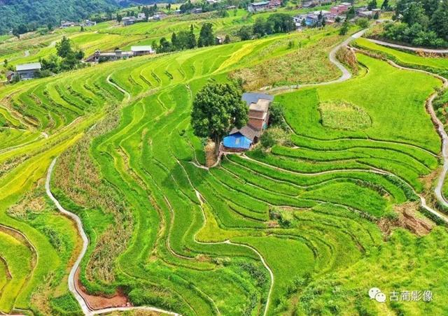 古蔺一年四季都有美景，不信你看！(图34)