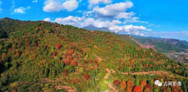 古蔺一年四季都有美景，不信你看！(图33)