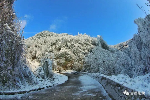 古蔺一年四季都有美景，不信你看！(图42)