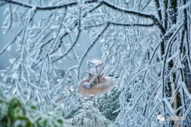 古蔺一年四季都有美景，不信你看！(图43)