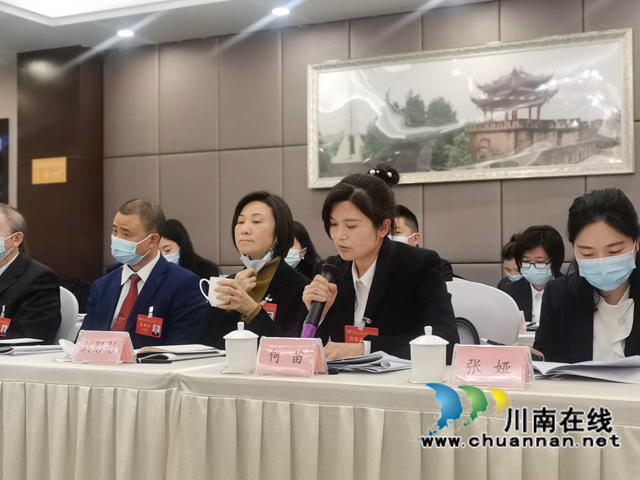 泸州盟员何苗在市“两会”上发言：建立中国驼峰航线博物馆