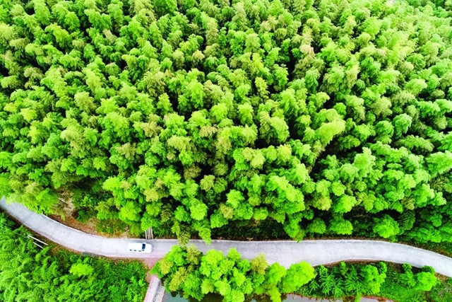 过江通道建设、新型消费场景打造、高铁新城组团…泸州的2022年，值得期待！(图4)