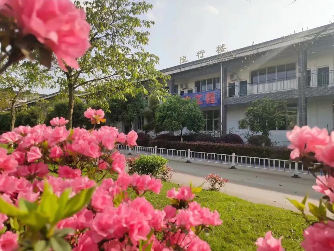 合江这所学校被命名为泸州园林式单位，快来看看有多美！(图3)