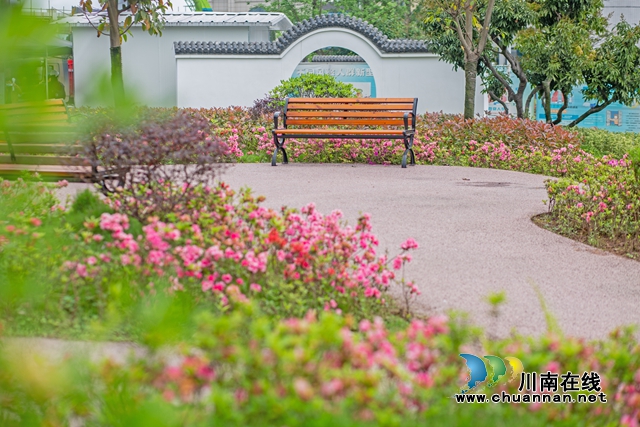 合江县中医院建成省中医住院医师规范化培训基地协同单位(图4)