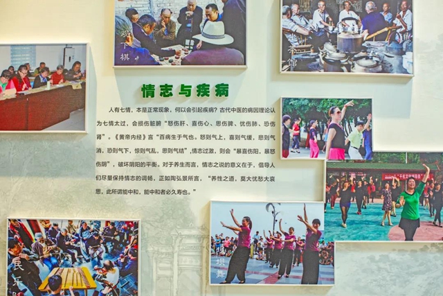 图集｜传承中医药文化，医院里的那些国粹经典(图16)